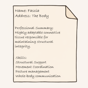 Illustration of a mock resume for fascia